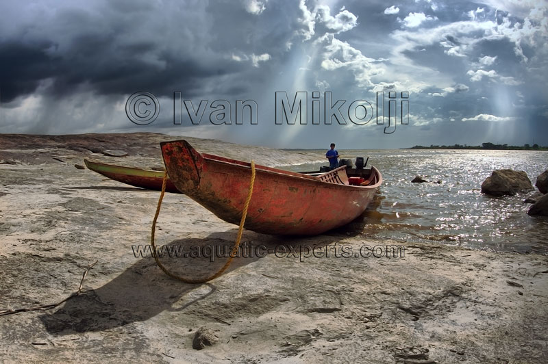 imagenes del rio orinoco